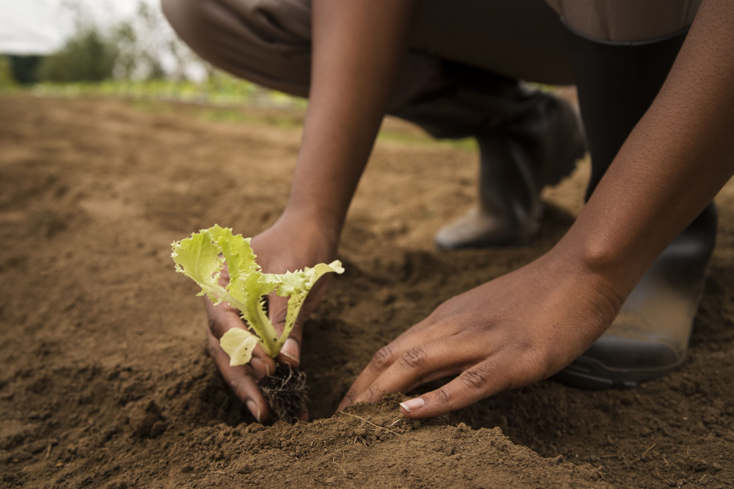 side-view-hands-gardening (1)